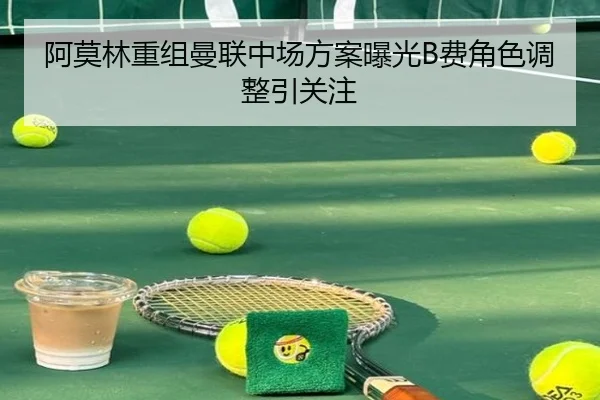 阿莫林重组曼联中场方案曝光B费角色调整引关注